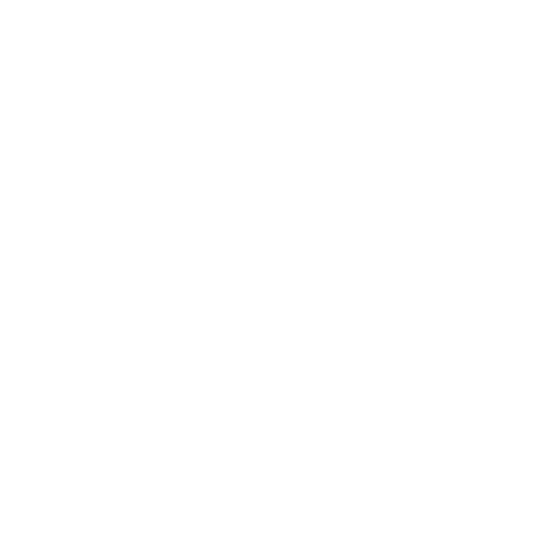 FOCUS Initiatives, LTD